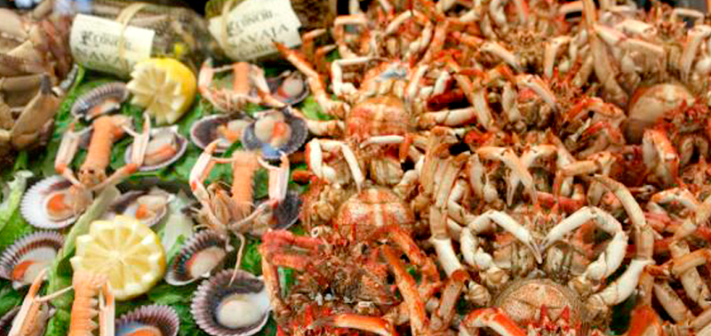 Feria del Marisco de O Grove